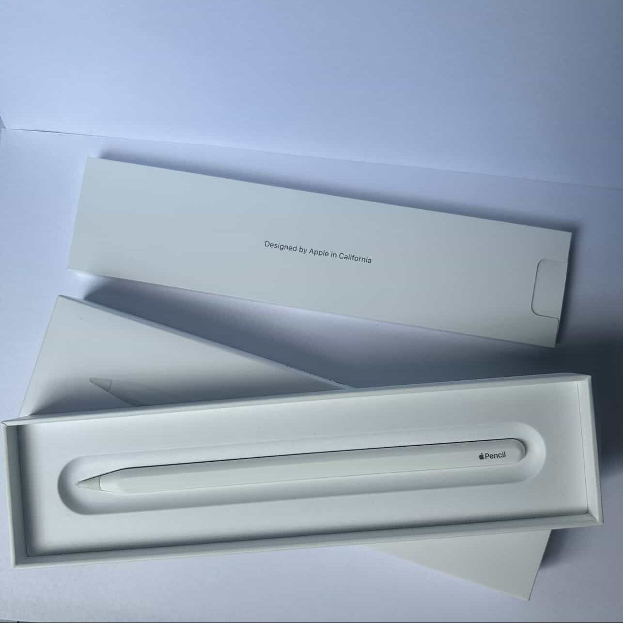 Apple Pencil USB-C - Usado