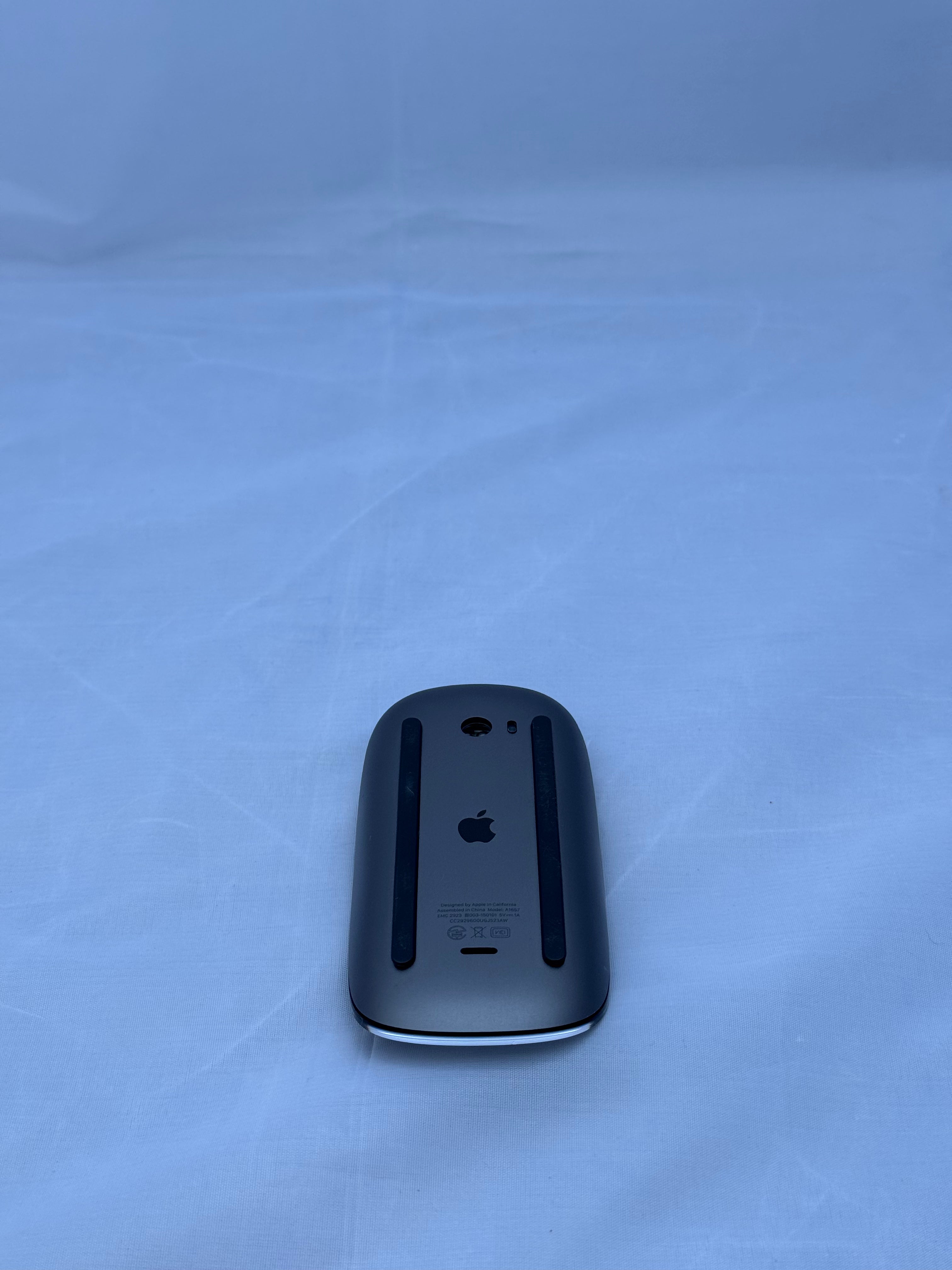 Magic Mouse 2