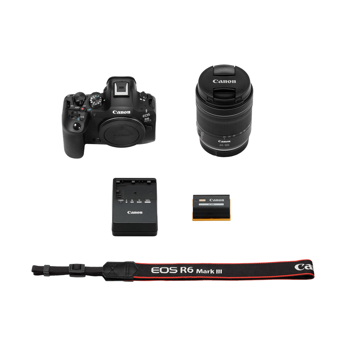 Canon EOS R6 Mark III - Kit RF 24-105mm F4-7.1 IS STM - vista 6