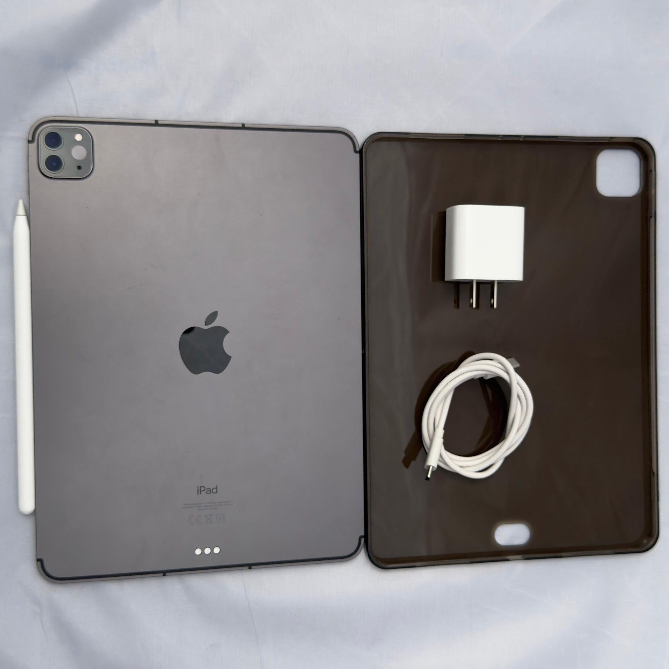 iPad Pro 11" M1 - 256GB + Apple Pencil 2da Gen