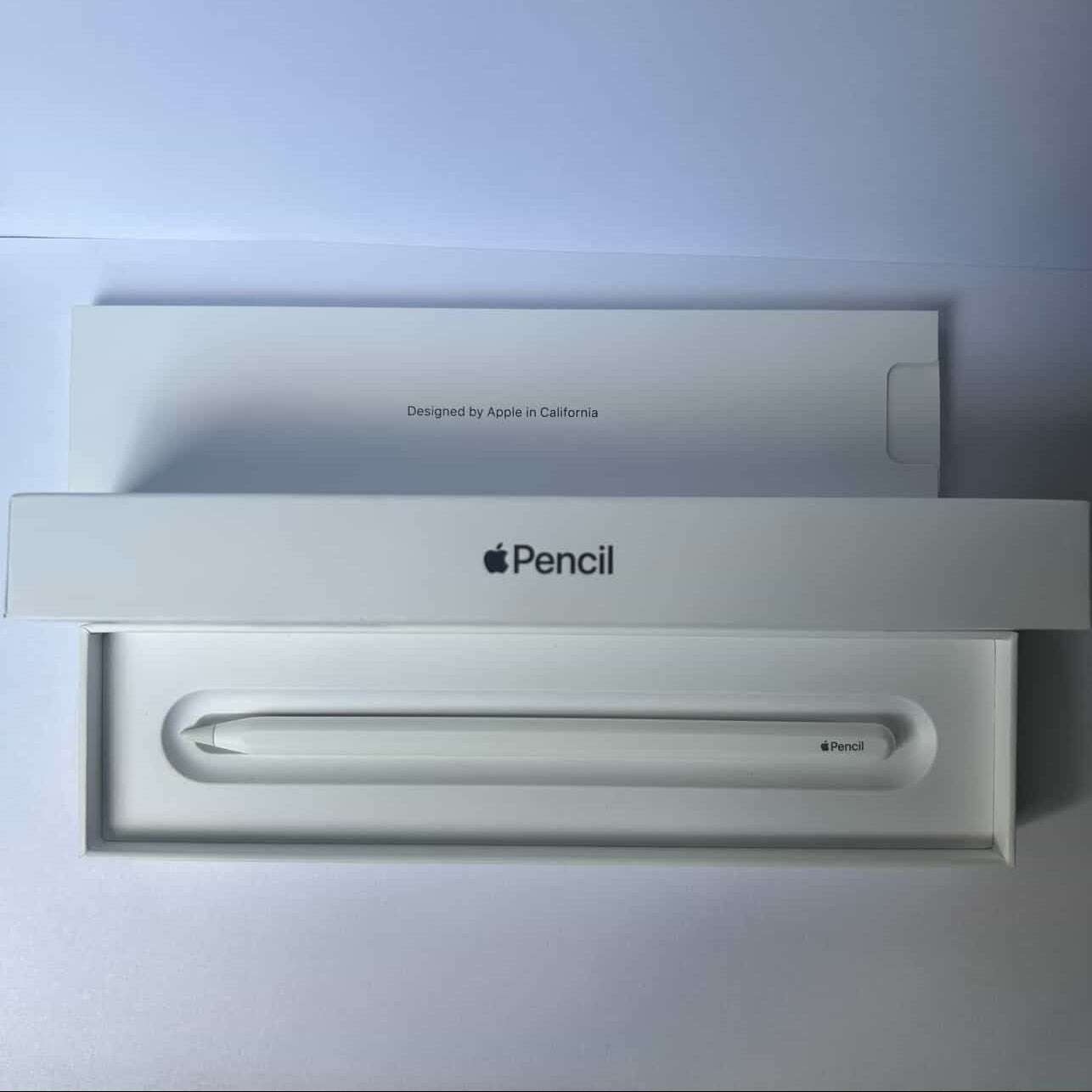 Apple Pencil USB-C - Usado