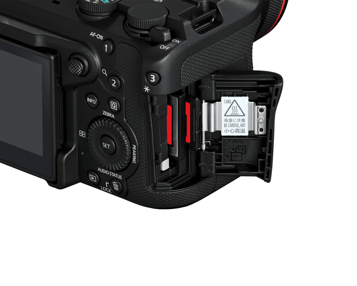 Canon EOS R6 V - Kit RF 20-50mm F4 L IS USM PZ - vista 6